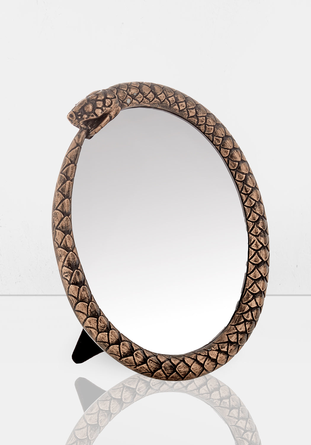 SnakeMirror Disturbia