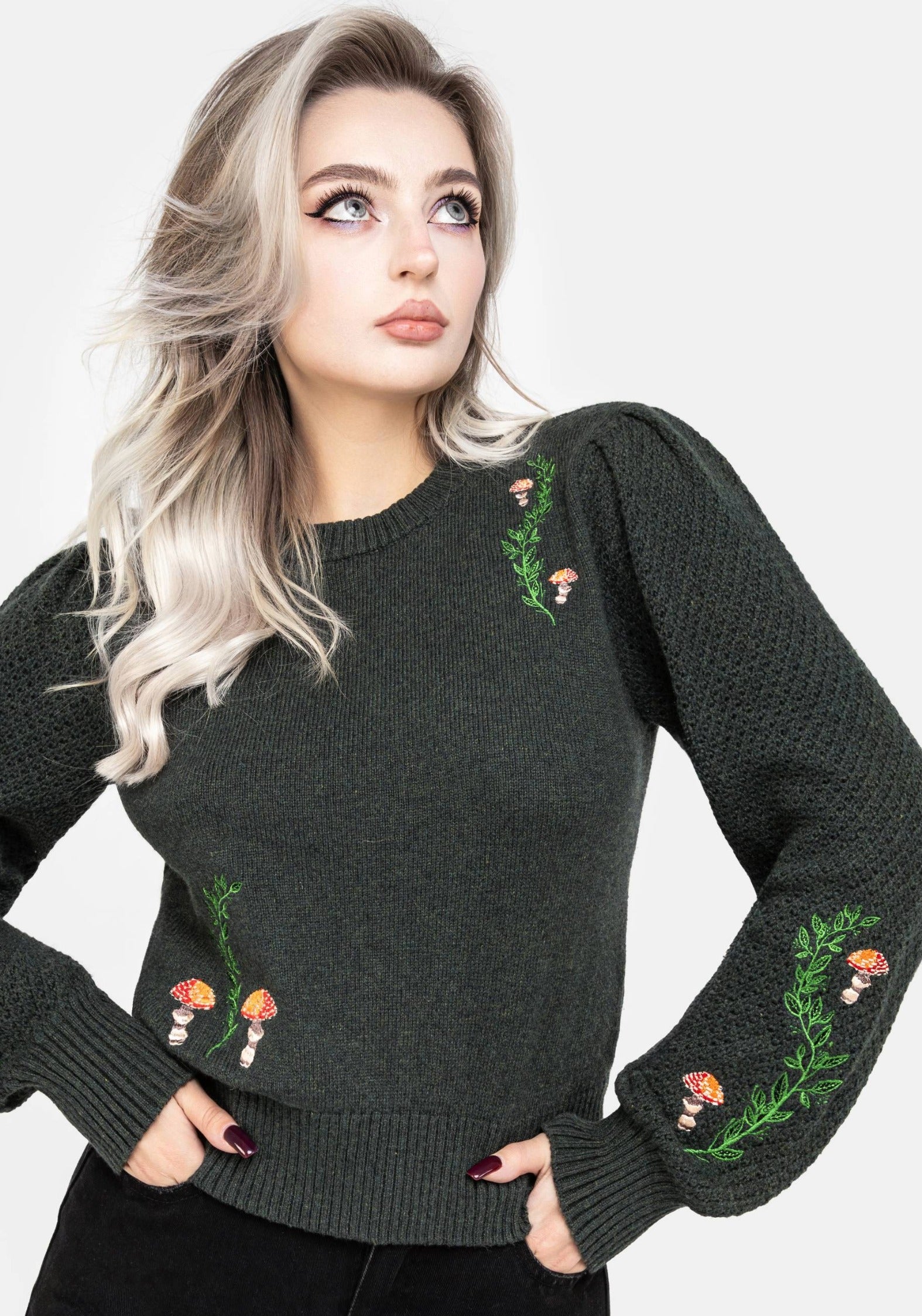 Fable Embroidered Sweater | Disturbia - Shop Women's Gothic