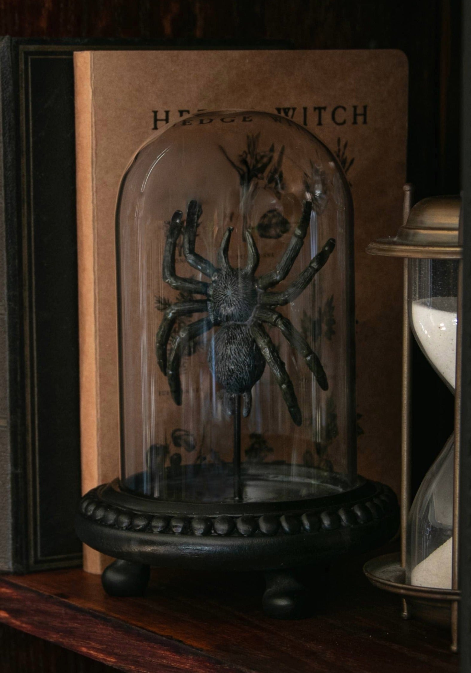 Arachne Spider In Jar – Disturbia