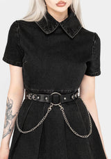 DRACONID BELT