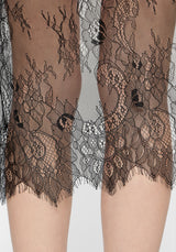 Tortula Lace Scarf