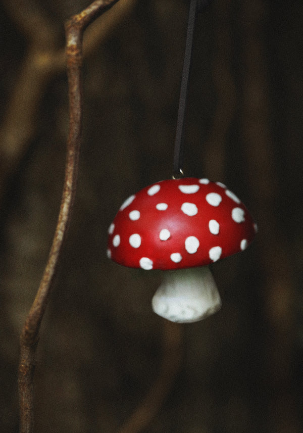 Toadstool Offering - Red