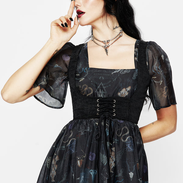 Florence Lace Up Harness Corset Top | Disturbia - Shop Women's