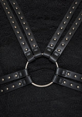 Eris Mini Stud Reversible Harness