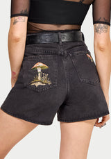 Faela Fairy Embroidered Denim Short 24" / US 2