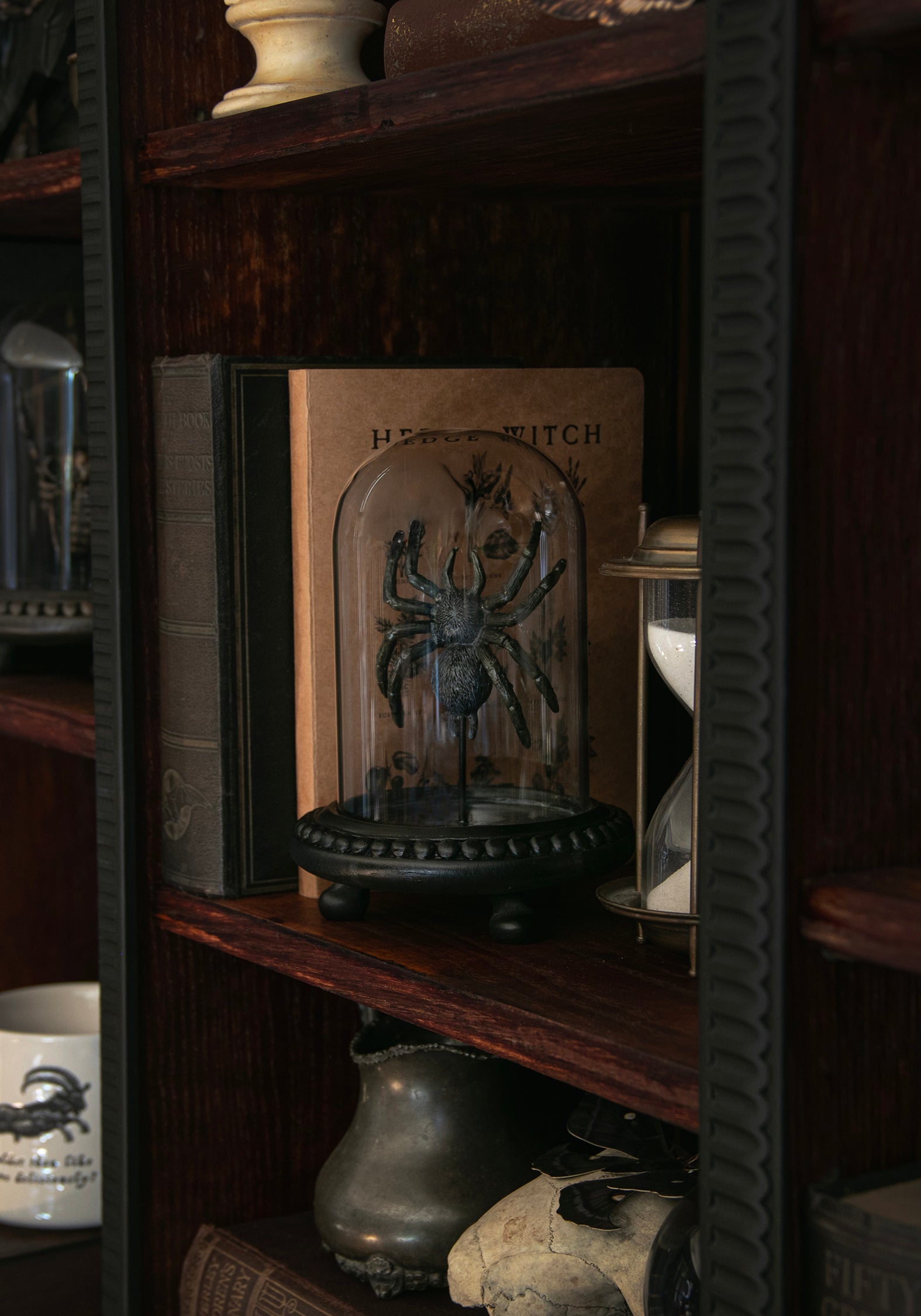 Arachne Spider In Jar – Disturbia