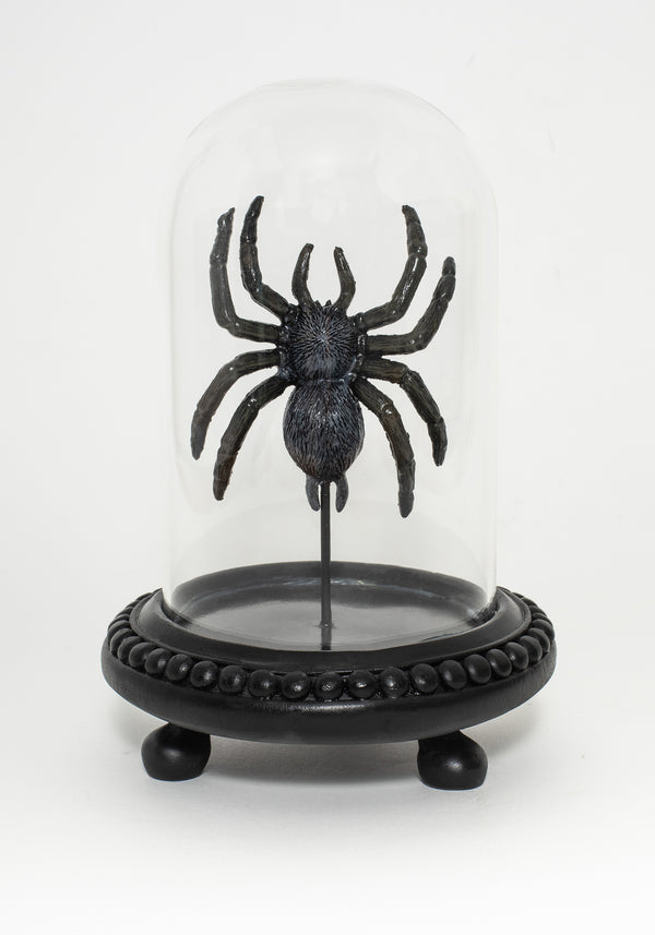 Arachne Spider In Jar