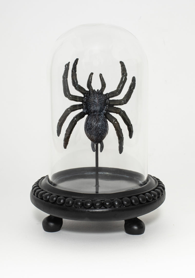 Arachne Spider In Jar