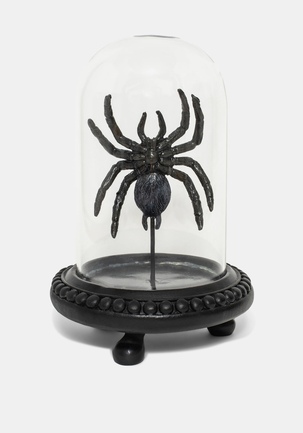 Spider In Jar Arachne Spider In Jar – Disturbia
