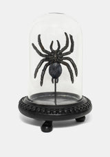 Arachne Spider In Jar