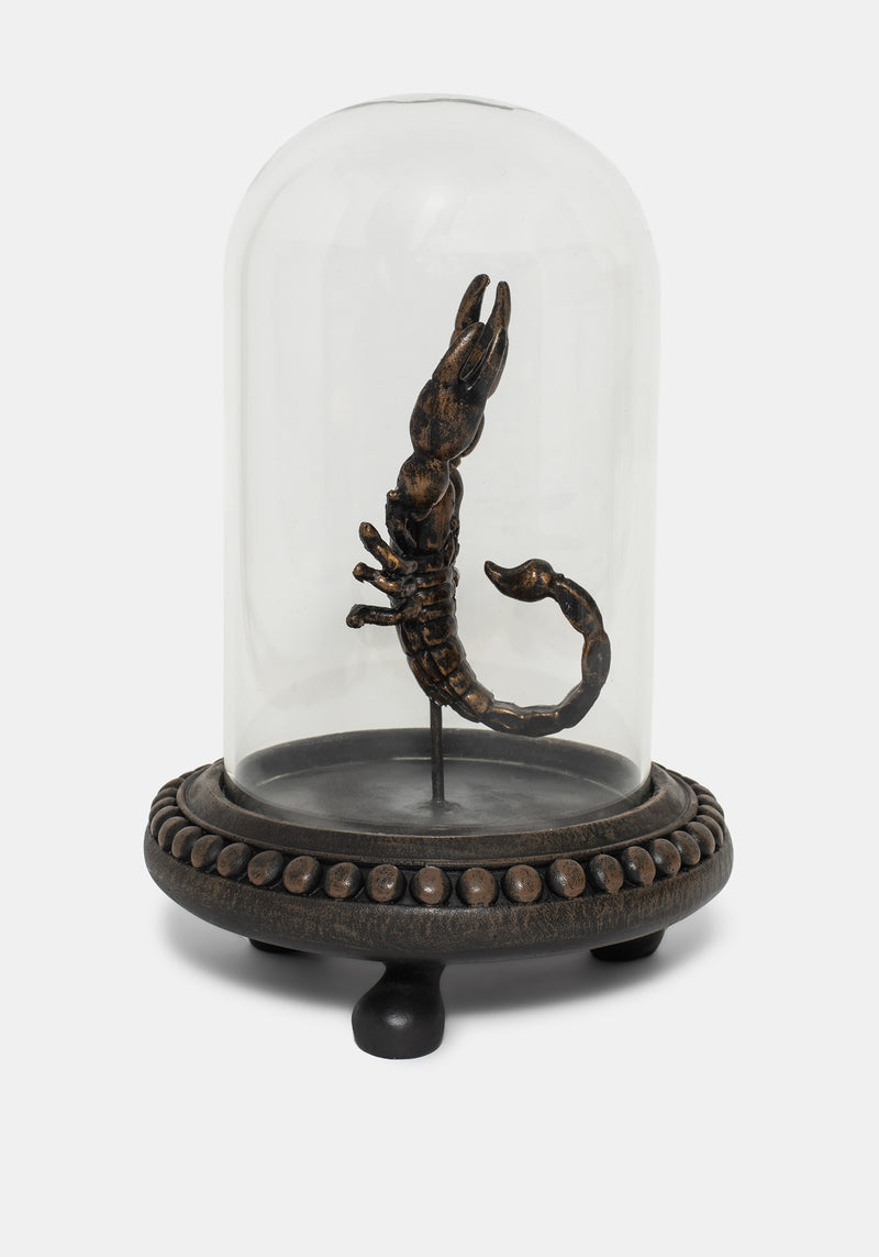 Skara Scorpion In Jar