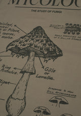 Scythia Mycology Tea Towel - 2 Pack