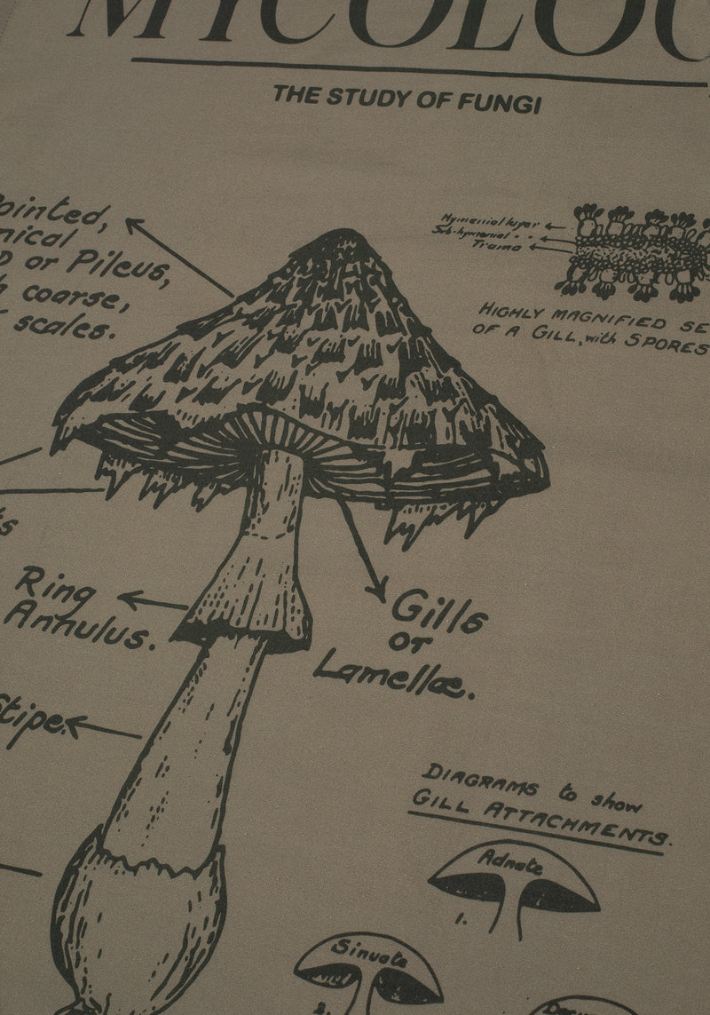 Scythia Mycology Tea Towel - 2 Pack