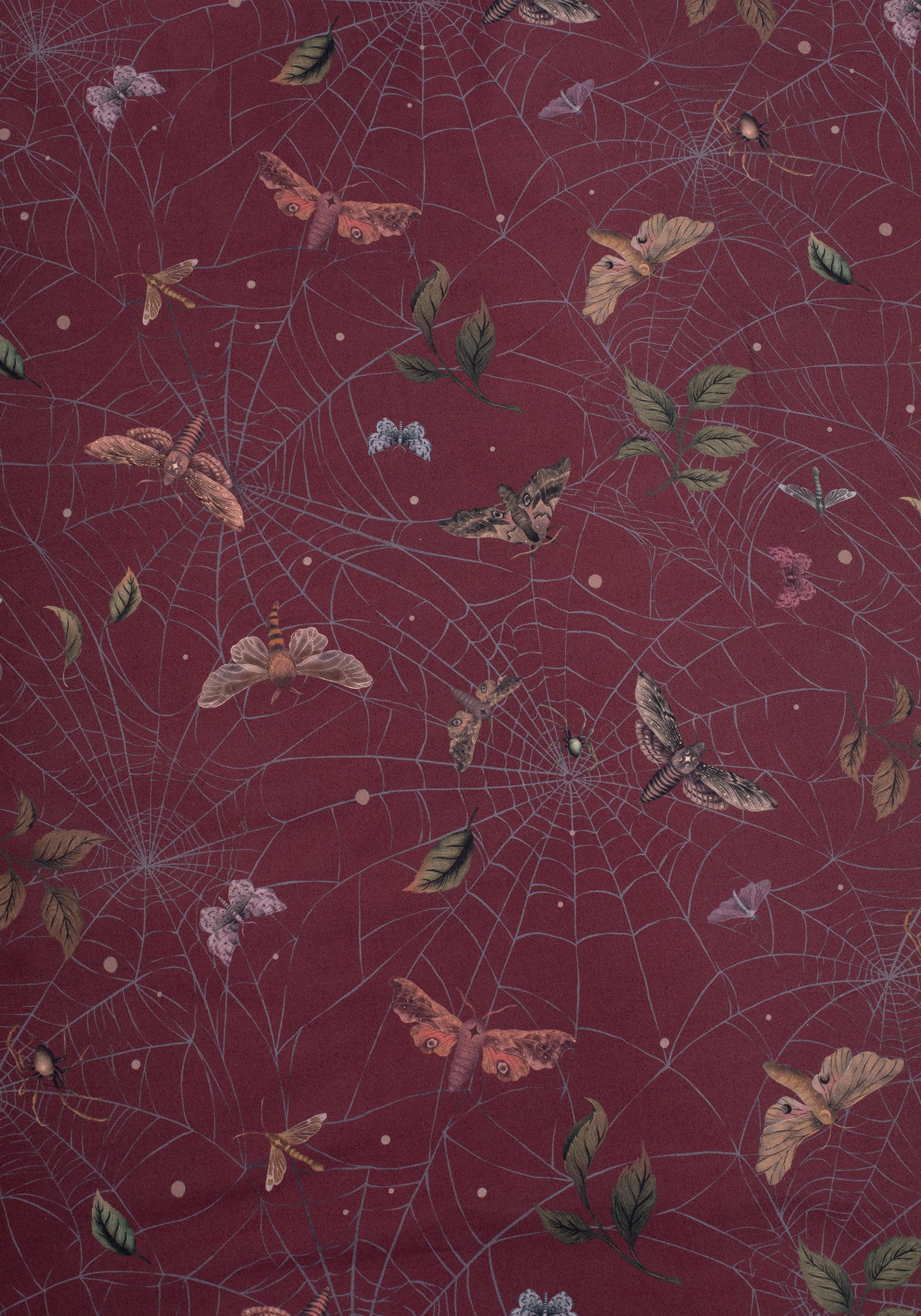 Celia Moth Web Bedding (US King)