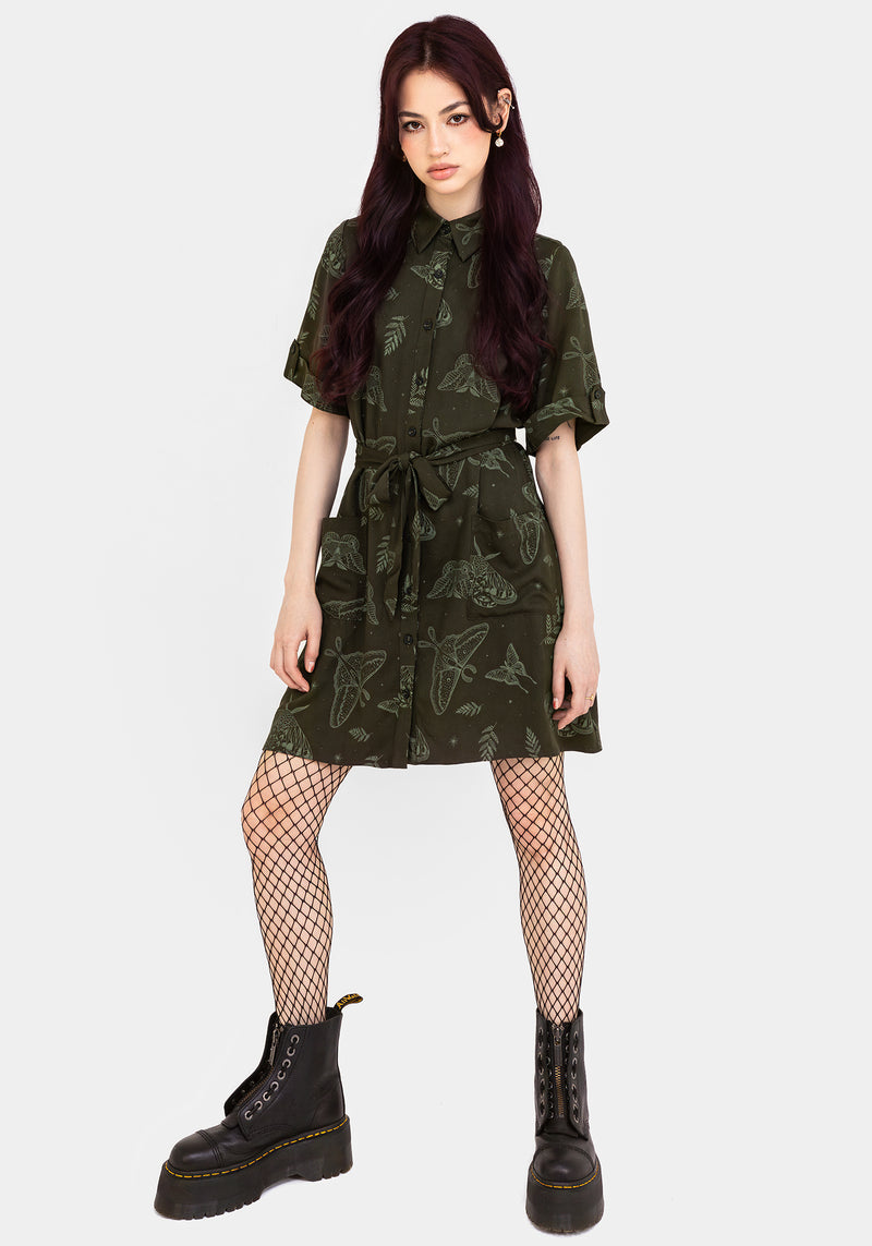 Callopistria Moth Print Mini Shirt Dress - Green Callopistria Moth Print Mini Shirt Dress - Green