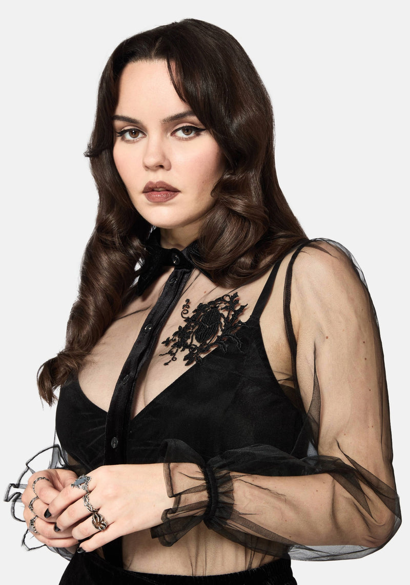 Fen Bug Embroidery Organza Sheer Shirt – Disturbia