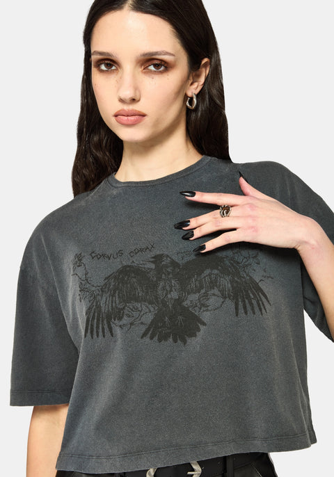 RavenWashedBoxyCropT-Shirt