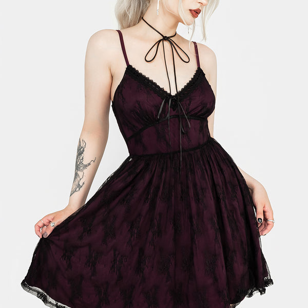 Anastasie Stretch Lace Mini Dress | Disturbia - Shop Women's