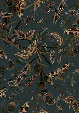 Whispen Moth Print Midi Shirt Dress