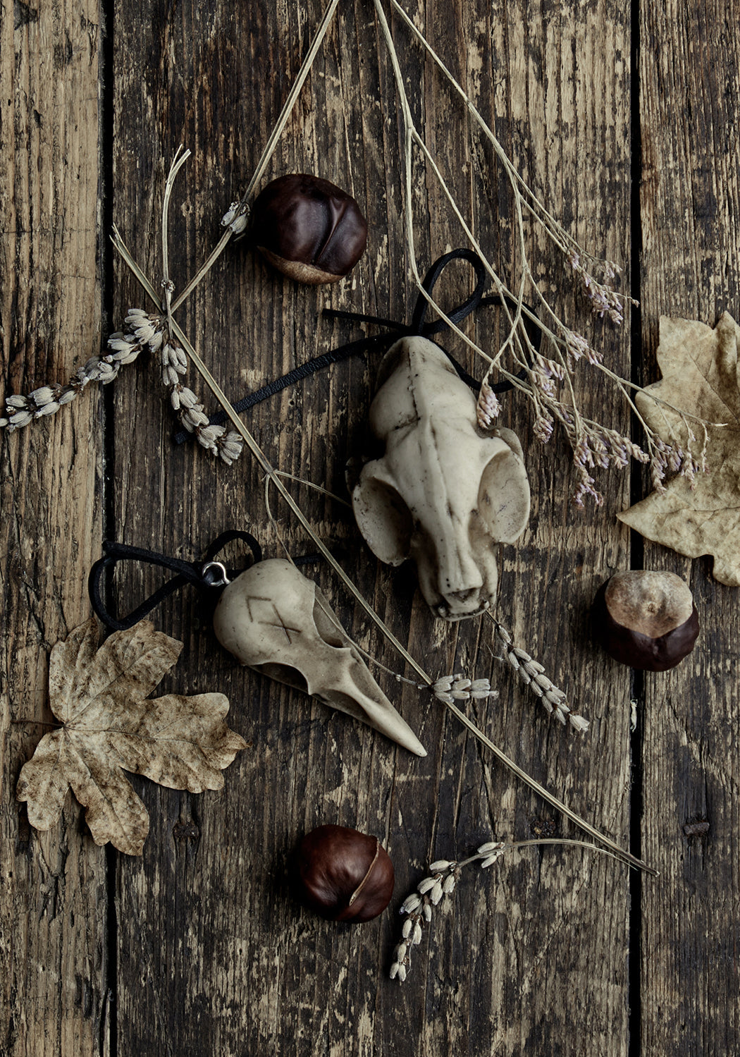 Cat Skull Offering