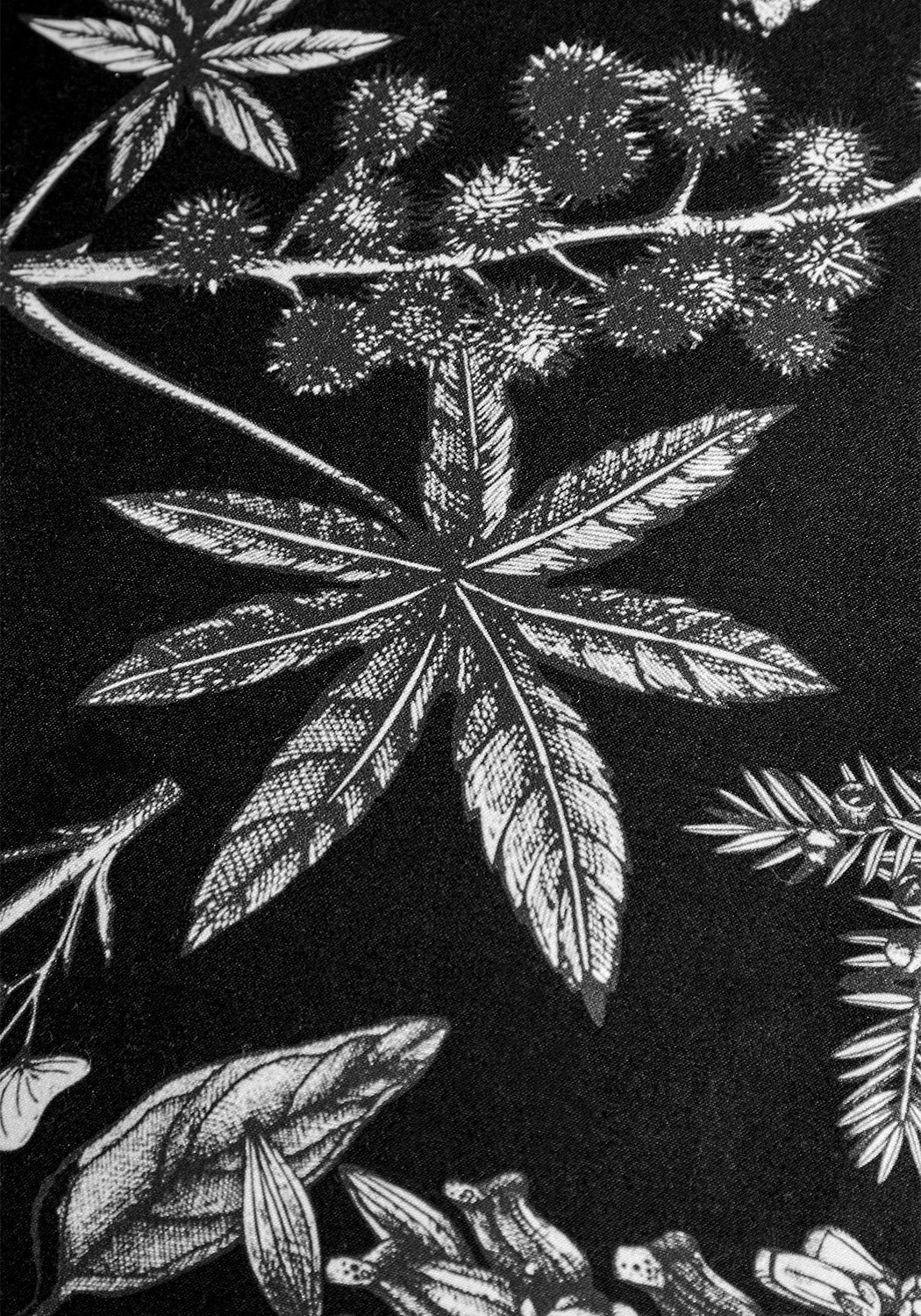 Poisonous Plants Bedding Set (Queen)